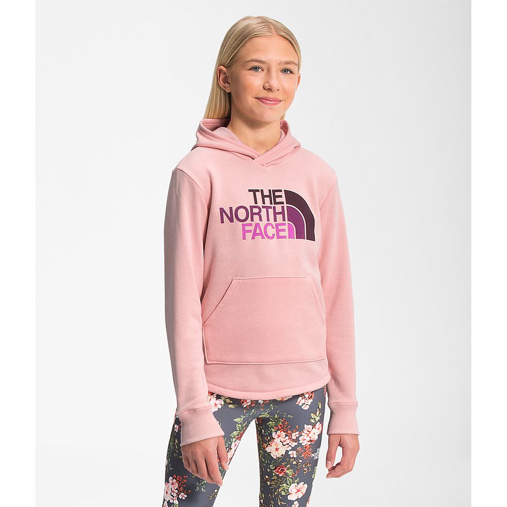 The North Face Hoodie Girls Australia - The North Face Camp Fleece Pullover Rose (GUN-629314)